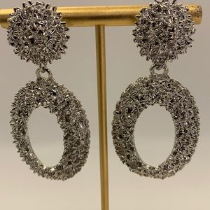 Silver Oval Shaped Statement Earring